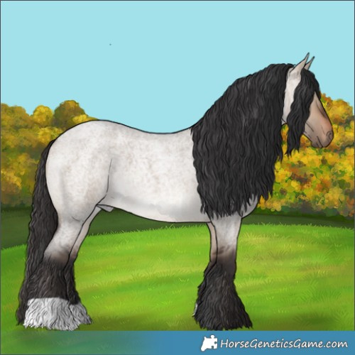 Horse Color:Brown Roan Dun 