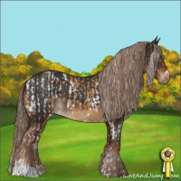 Horse Color:White Spotted Chocolate Palomino Dun Appaloosa  and Liver Chestnut 