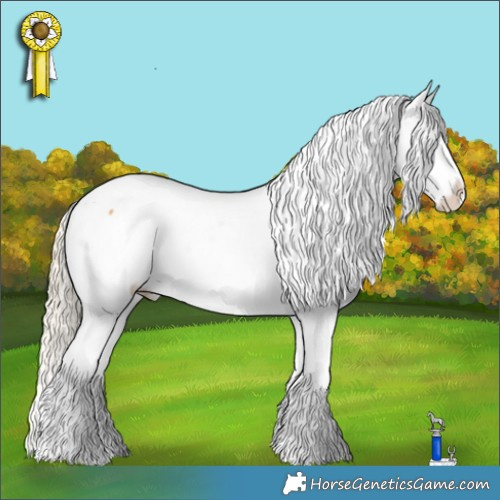 Horse Color:White Spotted Palomino Dun Appaloosa 