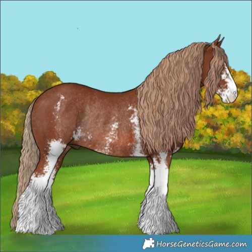 Horse Color:Chestnut Sabino Rabicano 