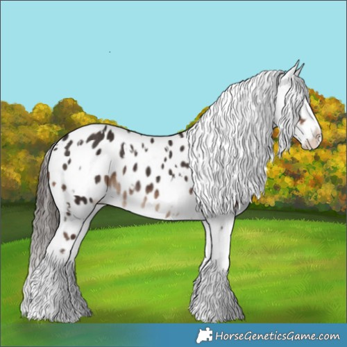 Horse Color:White Spotted Liver Chestnut Appaloosa Rabicano 