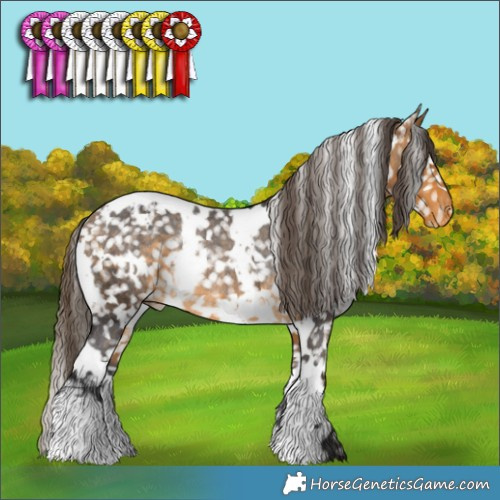 Horse Color:White Spotted Buckskin Appaloosa Rabicano 