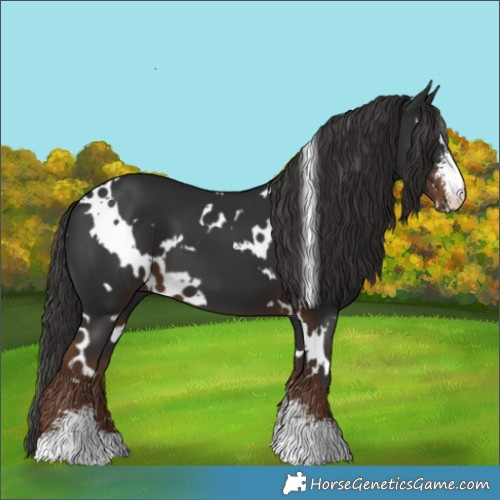 Horse Color:White Spotted Liver Chestnut Sabino 