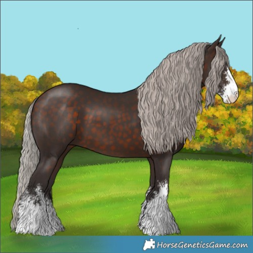 Horse Color:Silver Brown Sabino 
