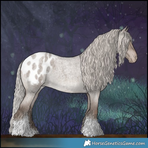 Horse Color:Silver Grullo Roan Tobiano Appaloosa 