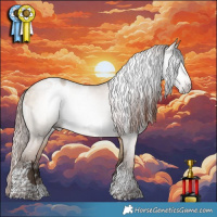 Horse Color:Gray White Spotted Sable Champagne Dun Tobiano and White Spotted Sable Champagne Dun Tobiano Appaloosa