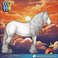 Horse Color:Gray White Spotted Sable Champagne Dun Tobiano and White Spotted Sable Champagne Dun Tobiano Appaloosa