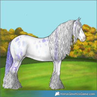 Horse Color:Watercolor White Spotted Liver Red Dun Onyx Appaloosa Rabicano