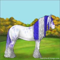 Horse Color:Watercolor White Spotted Liver Red Dun Onyx Appaloosa Rabicano 