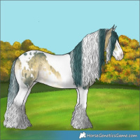 Horse Color:Watercolor White Spotted Bay Onyx Splash Tobiano 