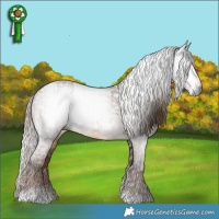 Horse Color:Gray Liver Red Dun Tobiano  and Gray Liver Chestnut Tobiano 