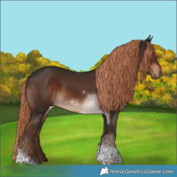 Horse Color:Liver Chestnut Tobiano 