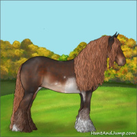 Horse Color:Liver Chestnut Tobiano 