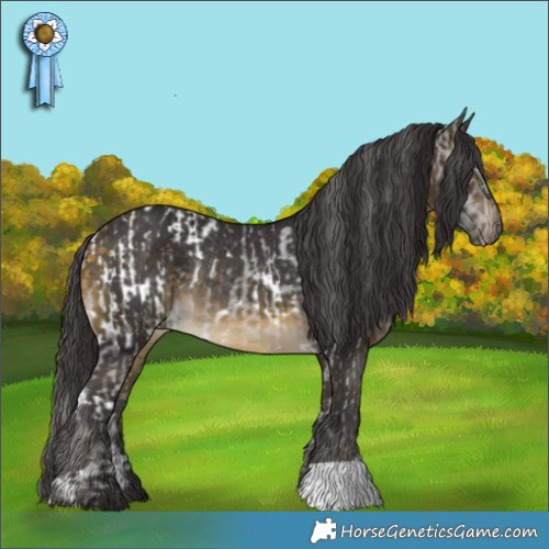 Horse Color:White Spotted Brown Appaloosa  and Buckskin Rabicano 