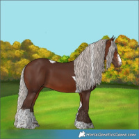 Horse Color:Silver Brown Sabino Tobiano 