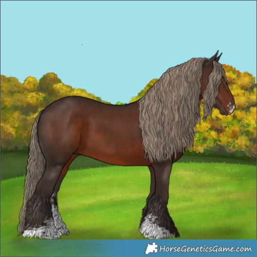 Horse Color:Liver Chestnut Sabino 