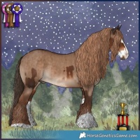 Horse Color:Liver Chestnut Rabicano and Liver Red Dun Splash Brindle