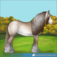Horse Color:Gray Buckskin Pearl 