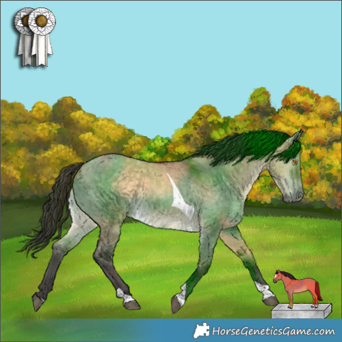 Horse Color:Buckskin Dun Tobiano 