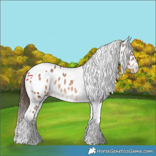 Horse Color:Amber Champagne Tobiano Appaloosa 
