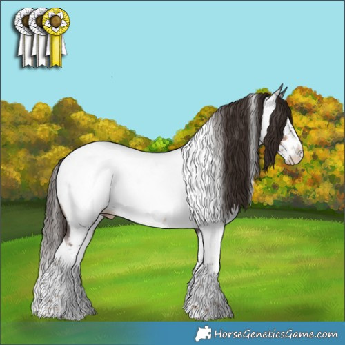 Horse Color:Liver Chestnut Sabino Splash Tobiano Appaloosa 