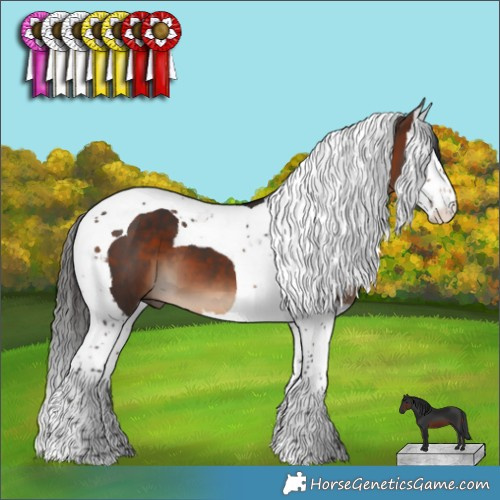 Horse Color:Brown Splash Tobiano 
