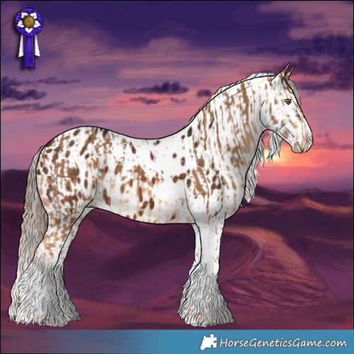 Horse Color:Chocolate Palomino Tobiano  and Liver Chestnut Appaloosa 