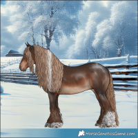 Horse Color:Liver Chestnut Tobiano 