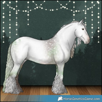 Horse Color:Gray Liver Chestnut Tobiano Appaloosa 