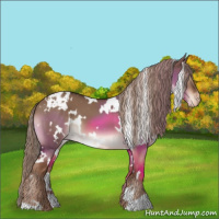 Horse Color:White Spotted Liver Red Dun Appaloosa 