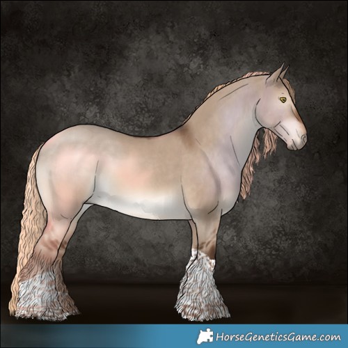 Horse Color:Liver Red Dun Tobiano 