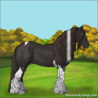 Horse Color:Liver Chestnut Tobiano