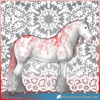 Horse Color:Watercolor Liver Red Dun Sabino Splash Appaloosa Rabicano Brindle