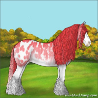 Horse Color:Watercolor Liver Red Dun Sabino Splash Appaloosa Rabicano Brindle 