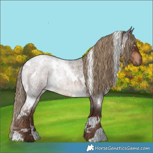 Horse Color:White Spotted Liver Red Roan Rabicano 