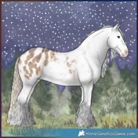 Horse Color:Chocolate Palomino Roan Dun Blanket Rabicano Brindle 