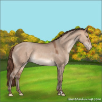 Horse Color:Amber Champagne Dun Varnish 