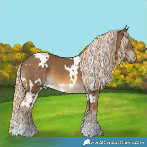 Horse Color:White Spotted Chocolate Palomino 