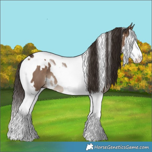 Horse Color:White Spotted Liver Red Dun Splash Tobiano 