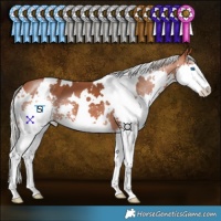 Horse Color:White Spotted Silver Bay Splash