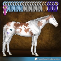 Horse Color:White Spotted Silver Bay Splash