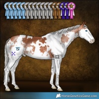 Horse Color:White Spotted Silver Bay Splash 