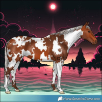 Horse Color:White Spotted Silver Bay 