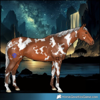 Horse Color:White Spotted Silver Bay 