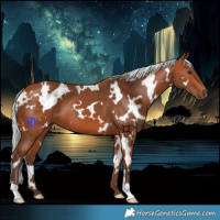 Horse Color:White Spotted Silver Bay 