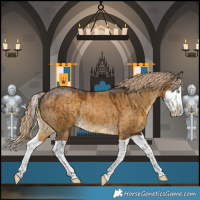 Horse Color:Chocolate Palomino Dun Splash Brindle 