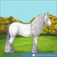 Horse Color:Brown Dun Sabino Splash Rabicano 