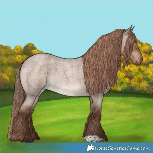Horse Color:Liver Red Dun Roan 