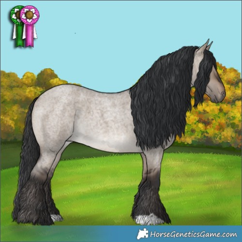 Horse Color:Brown Roan Dun 