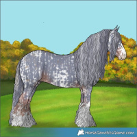 Horse Color:White Spotted Chocolate Palomino Appaloosa and Watercolor Liver Chestnut